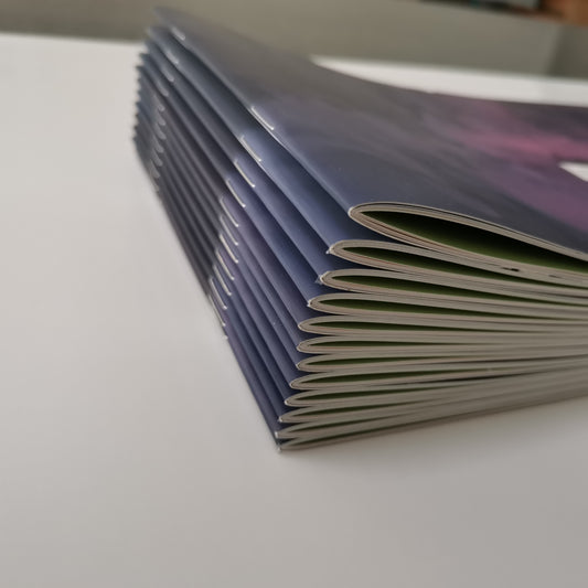 Saddle stitched customized booklet catalog colour brochure printing